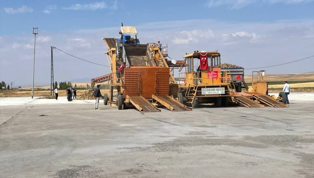 Malazgirt'te şeker pancarı alımı başladı