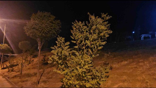 Elazığ'da kuvvetli rüzgar etkisini sürdürüyor