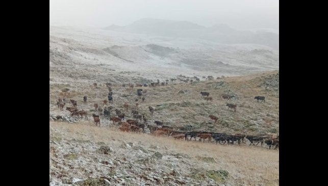 Erzurum'da yüksek kesimlere kar yağdı