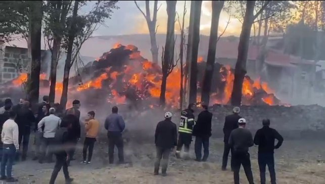 Tekman'da korkutan ot yangını