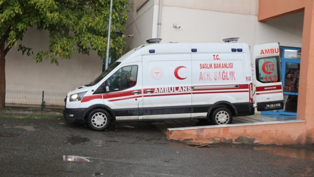 Iğdır'da hayvan otlatırken yıldırım isabet eden genç öldü