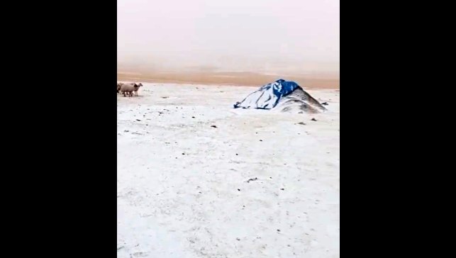 Diyadin'de Eylül'de yağan kar köyü beyaza bürüdü