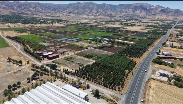 Elazığ'da üretilen milyonlarca fidan, ülkeye nefes oluyor