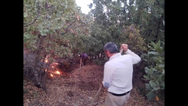 Elazığ'da ağaçlık alanda yangın