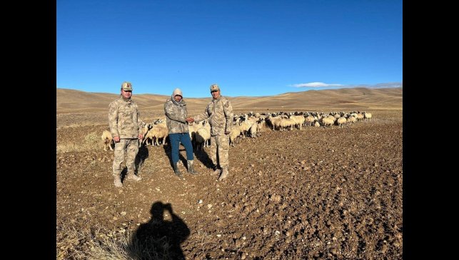 Kaybolan hayvanlar jandarma tarafından bulundu