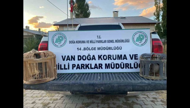 Van'da kafes avcılığı yapan şahsa 48 binlira cezai işlem uygulanacak