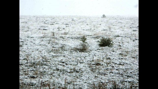 Posof'ta kar yağışı
