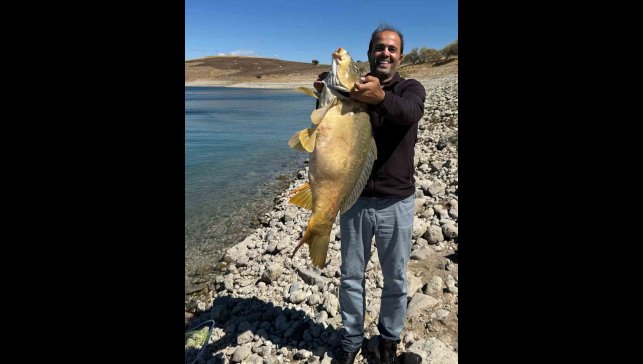 Elazığ'da 21 kiloluk dev sazan avlandı