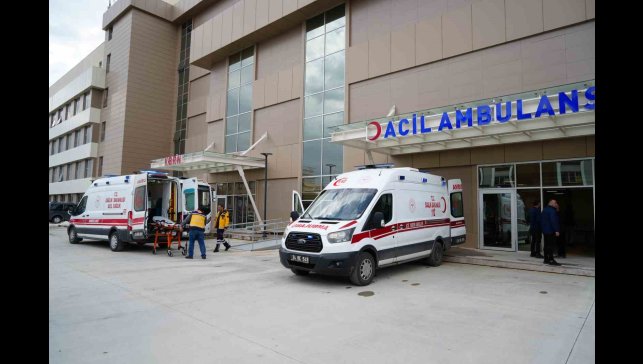 Erzincan'da trafik kazası: 2 yaralı