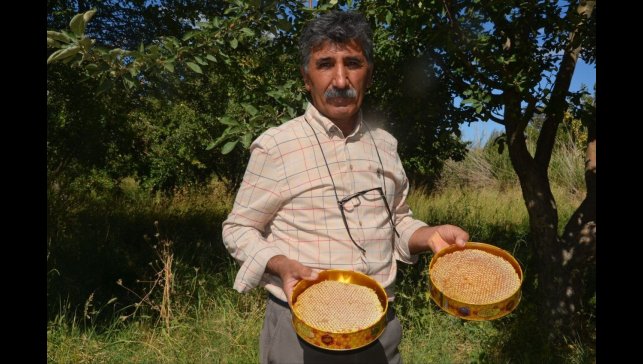 Malatya'da bal hasadı başladı