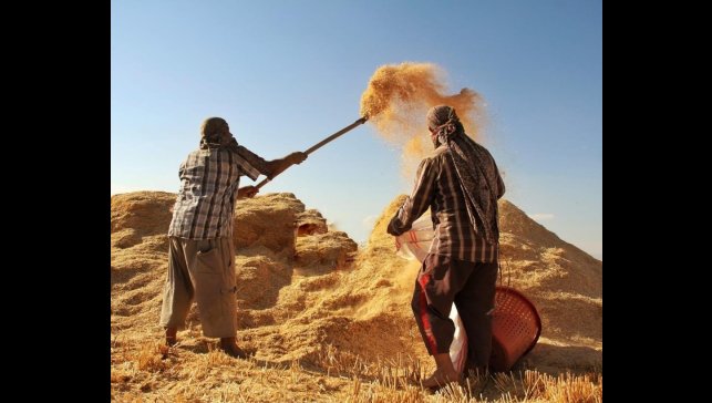 Tarım-GFE yıllık yüzde 34,22 arttı