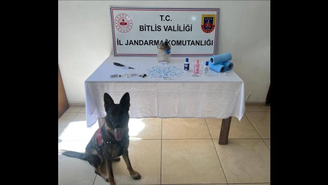 Bitlis'te jandarmadan uyuşturucu operasyonu
