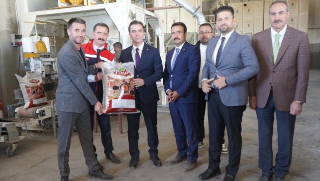 Bitlis'te kuru fasulye hasadı başladı