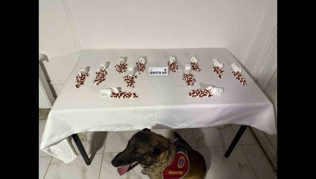 Tunceli'de narkotik köpeği 'Ayar' bagaja zulalanmış uyuşturucuyu buldu: 2 şüpheli yakalandı