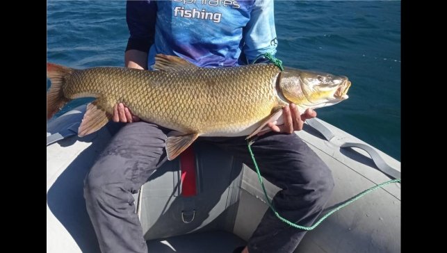 Elazığ'da amatör balıkçı 15 kiloluk dev turna yakaladı