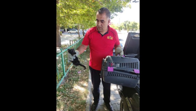 Otomobilin kaputuna sıkışan kedi kurtarıldı