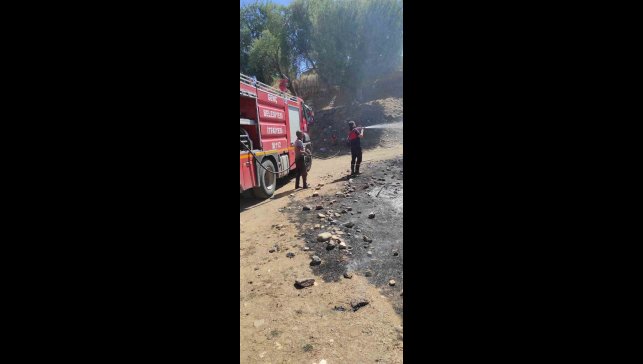 Bingöl'de çıkan yangın söndürüldü