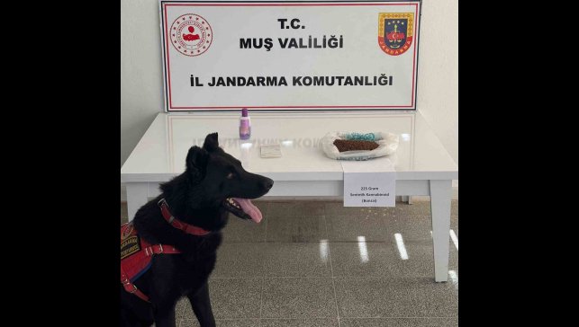 Muş'ta uyuşturucu operasyonu: 2 gözaltı