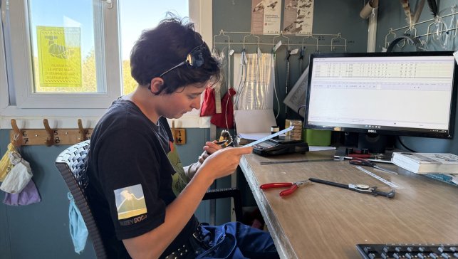 Alman kuş bilimci Iğdır'ın kuş çeşitliliğine halkalamayla katkı sağlıyor