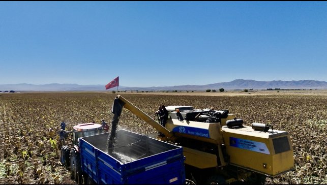 Ağrı'da ayçiçeği üretiminden 758 milyon TL'lik kazanç bekleniyor