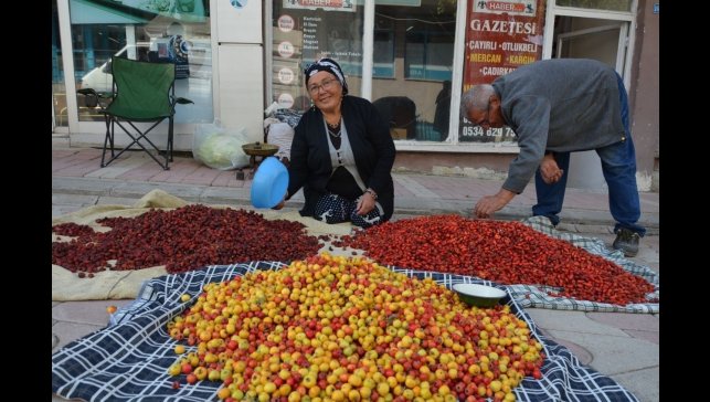 Tercan dağlarında yetişen yaban meyveleri pazar tezgahlarını süslüyor
