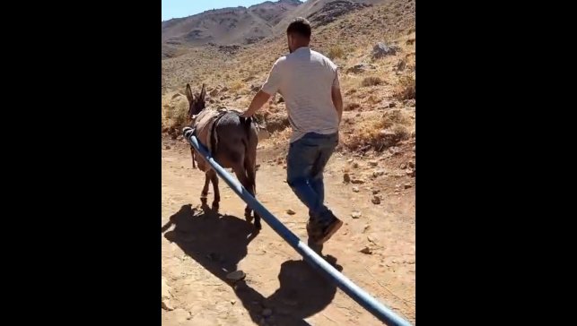 Yolalan'da eşeklerle su seferberliği
