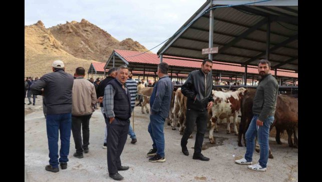 Oltu canlı hayvan pazarı şap hastalığı sonrası eski canlılığına kavuştu