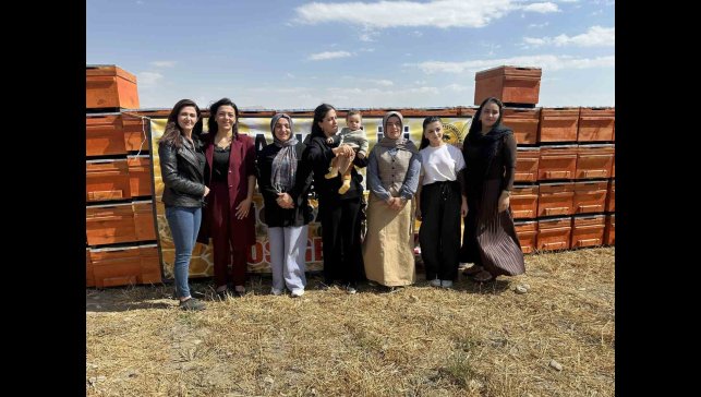 Yüksekova'da arıcılığa kadın eli değiyor: "Bin 275 kovan desteği verildi"