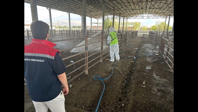 Iğdır'da açılan hayvan pazarı 2 hafta sonra tekrar kapatıldı