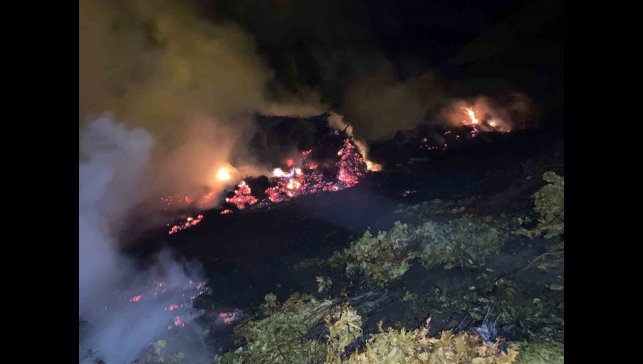 Bitlis'te çıkan yangında ot yığınları kül oldu