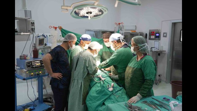 3 santimetrelik böbrek tümörü parsiyel nefrektomi ile çıkartıldı