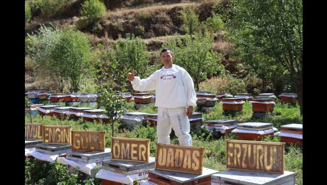 Arılarına yazmayı öğretti