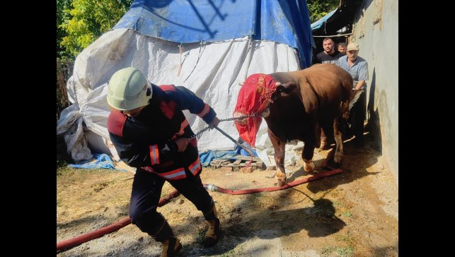 Malatya'da korkutan ahır yangını