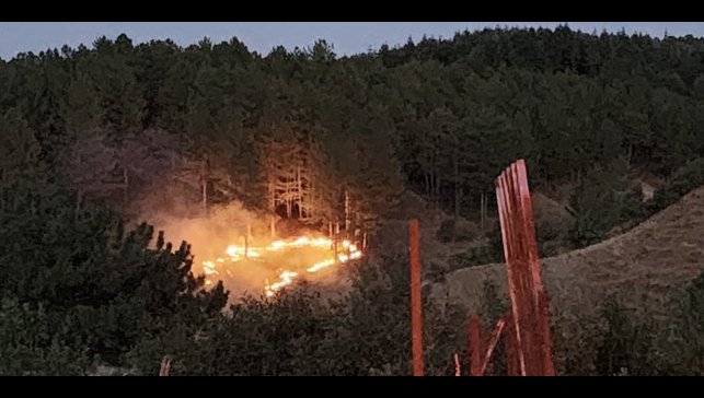Bingöl'de çıkan orman yangını kontrol altına alındı