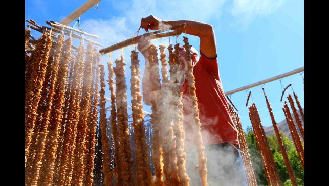 Kış sofralarının vazgeçilmezi: Orcik mesaisi başladı