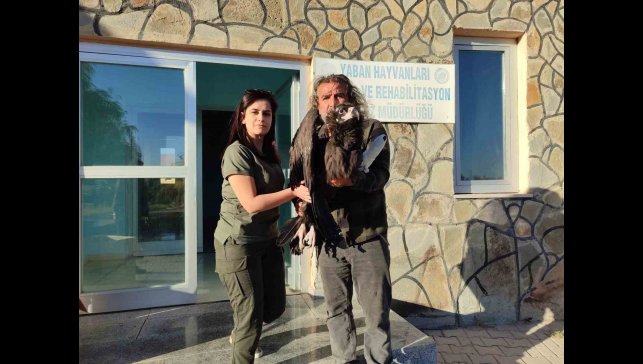 Yaralı kara akbaba yetkililere teslim edildi