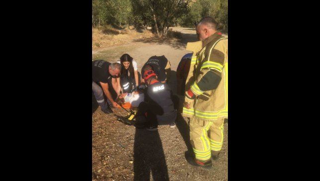 Tunceli'de trafik kazası: 5 yaralı