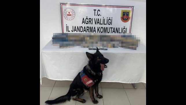 Ağrı'da bin 227 paket gümrük kaçağı sigara ele geçirildi