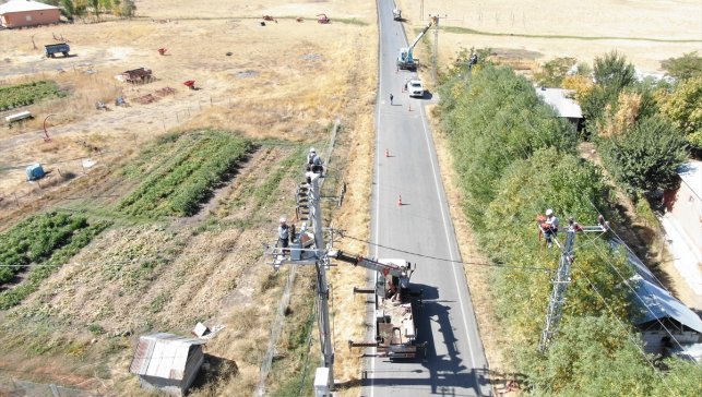 Muş'ta VEDAŞ ekipleri kış öncesi enerji nakil hatlarının bakımını yapıyor