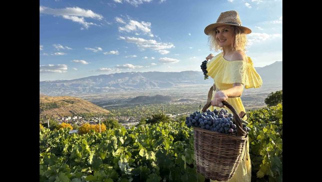 İki asırlık bağlarda bereket: Üzümlü'de Cimin Üzümü hasadı