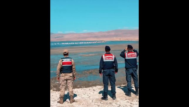 Erçek Gölü'ndeki flamingoları jandarma koruyor