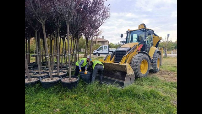 Van Büyükşehir Belediyesinden yeşillendirme çalışması