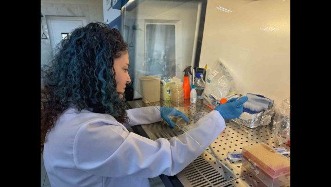 Diyabet yaralarına çözüm olacak bor destekli proje