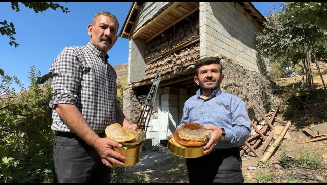 Hakkari dağlarında bal hasadı başladı