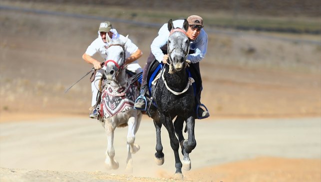 Bingöl'de ata sporunu yaşatan gençler atlarını yarışlara hazırlıyor