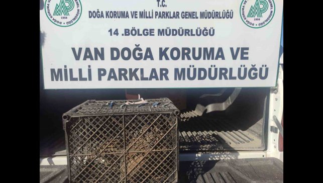 Van'da kafes avcılığı yapan şahsa 53 bin lira cezai işlem uygulanacak
