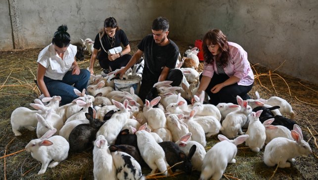 Vanlı genç kurduğu çiftlikte Yeni Zelanda ırkı etlik tavşan yetiştiriyor