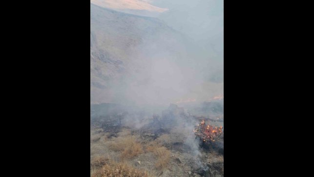 Başkale'de anız yangını