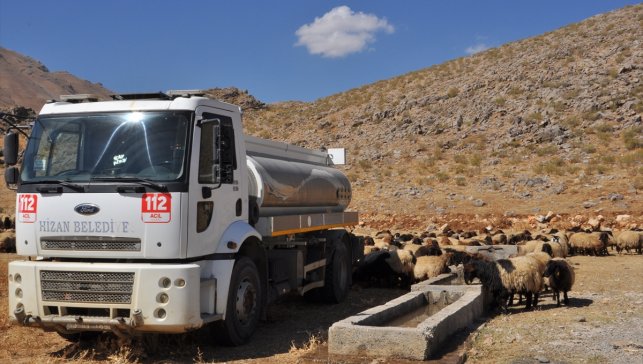 Bitlis'te kırsalda susuz kalan koyunlara belediye ekipleri tankerle su taşıdı