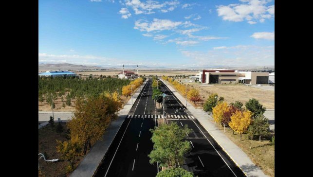 Kars'ta renk tonuna bürünen ağaçlar büyüledi